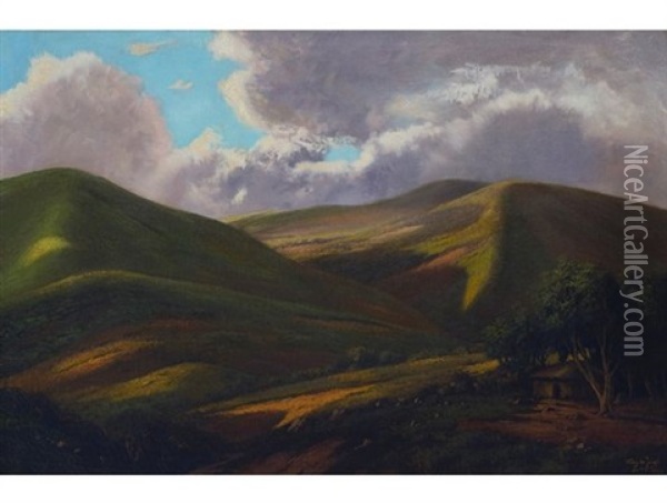 Hills Of Pondoland Oil Painting - Tinus de Jongh