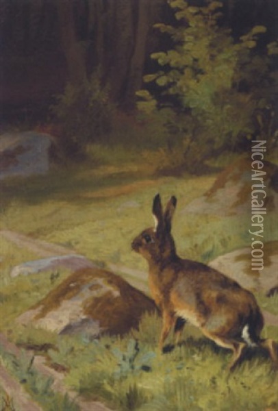 Hare Pa En Sklovsti Oil Painting - Adolf Heinrich Mackeprang