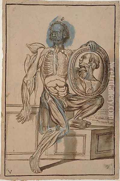 Hunter 653 Plate V Anatomical Drawing, c.1610 Oil Painting - Pietro Da Cortona (Barrettini)