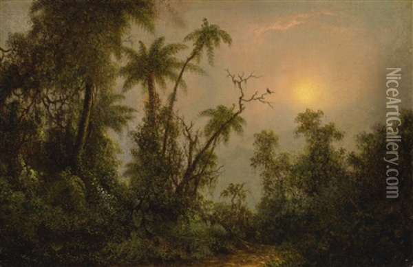 Tropical Forest Scene Oil Painting - Martin Johnson Heade