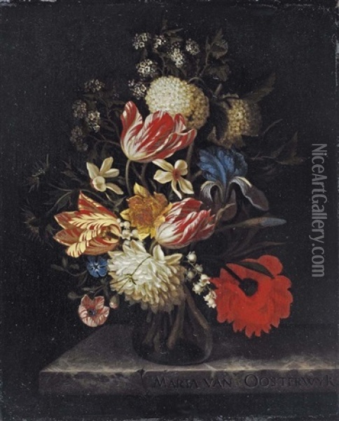 Tulips, Lilies, Roses, An Iris And Other Flowers In A Glass Vase, On A Marble Ledge Oil Painting - Maria van Oosterwyck