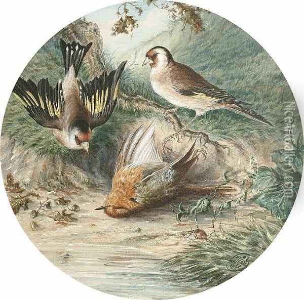 Who Killed Cock Robin Oil Painting - Henry Barnabus Bright