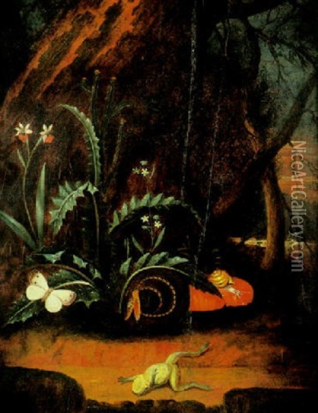 Nature Morte Au Serpent Et A La Grenouille Oil Painting - Anthonie Van Borssom