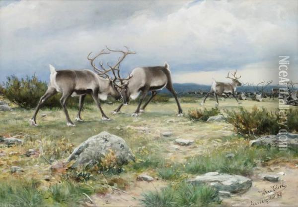Tvekamp Oil Painting - Johan Tiren