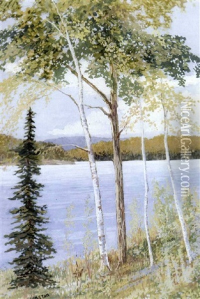 Lakeside Birches Oil Painting - Francis Hans Johnston