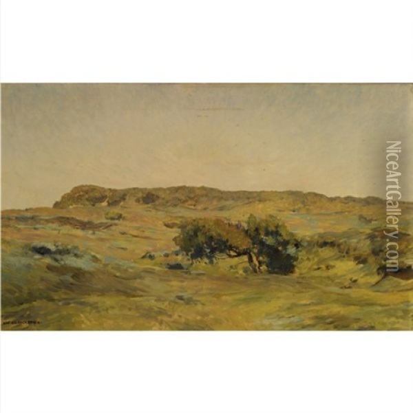 A Dune Landscape Oil Painting - Willem Wenckebach