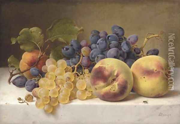A Still Life with Peaches and Grapes on a Marble Ledge Oil Painting - Johann Wilhelm Preyer