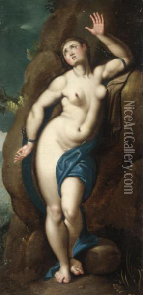 Andromeda Oil Painting - Jacob I De Backer