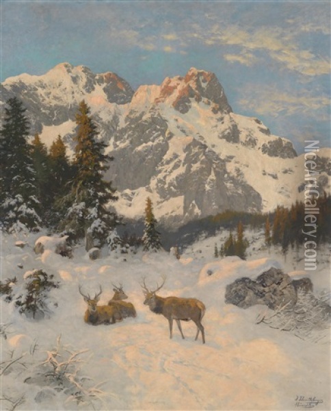 Rastendes Rotwild Vor Winter Alpenkulisse Oil Painting - Josef Schmitzberger