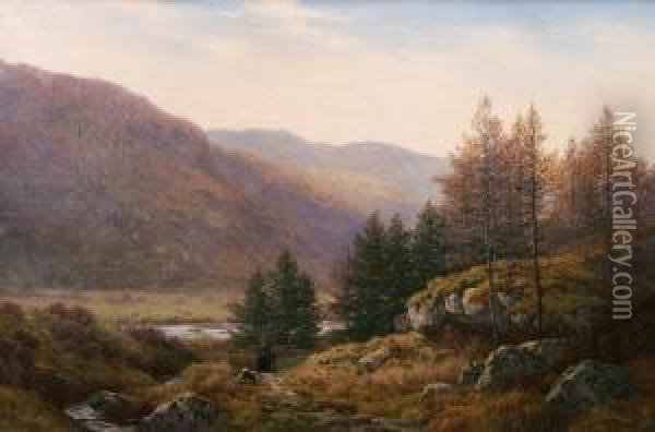 Lledr Valley, North Wales Oil Painting - Henry Cheadle