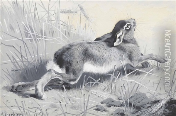 The Wounded Hare: Muff's Work Oil Painting - Archibald Thorburn