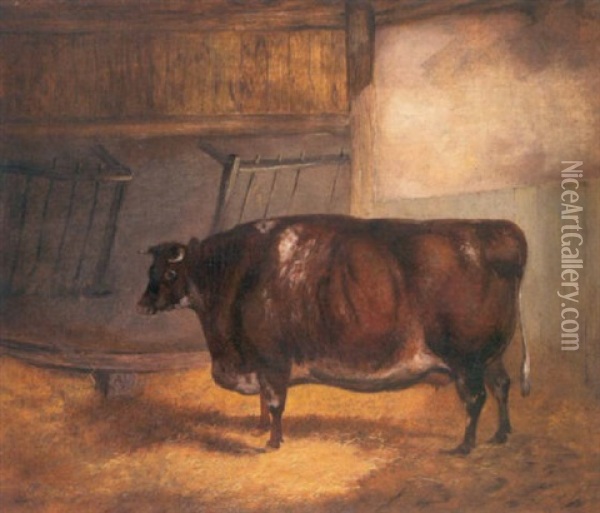 Study Of A Cow In A Stable Oil Painting - William Henry Davis