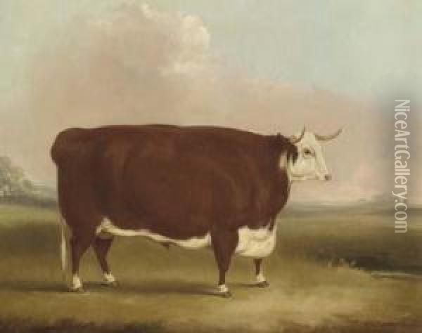 A Prize Bull In A Landscape Oil Painting - William Henry Davis