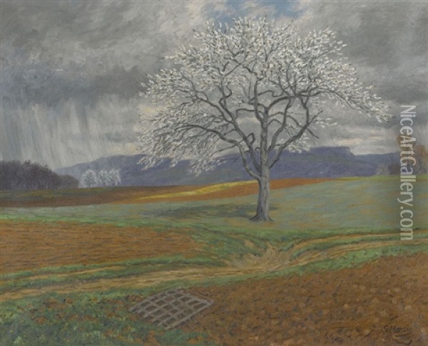 Bluhender Obstbaum Oil Painting - Gottfried Herzig