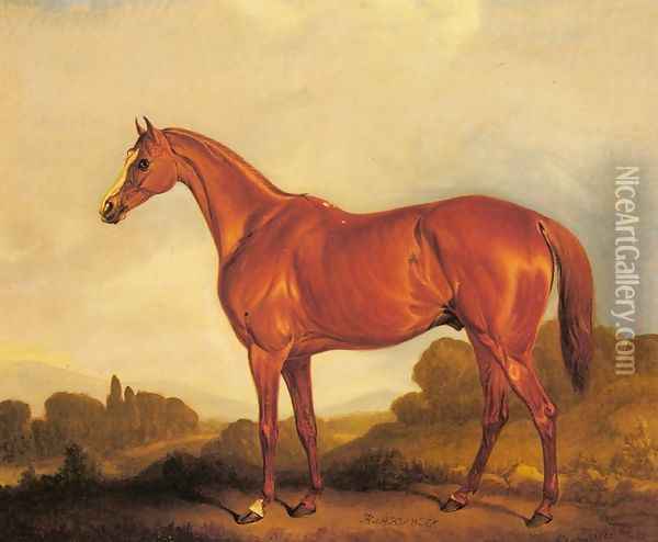 A Portrait of the Racehorse Harkaway, the Winner of the 1838 Goodwood Cup Oil Painting - John Snr Ferneley