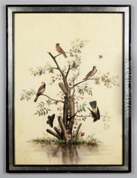 Albero Con Uccellini Oil Painting - Carlo Antonio Raineri