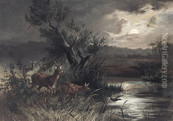 Abendliche Teichlandschaft Mit Rotwild Und Auffliegender Wildente Oil Painting - Anton Weinberger
