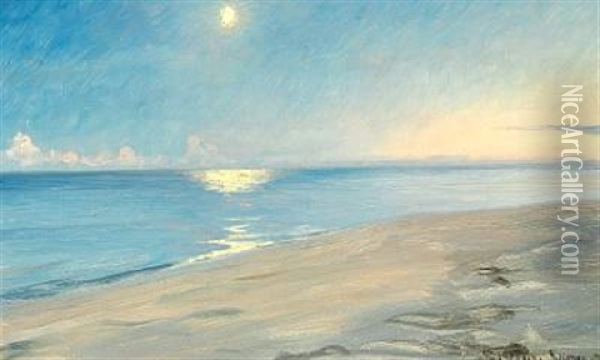 Moon Light At Skagen Beach Oil Painting - Peder Severin Kroyer