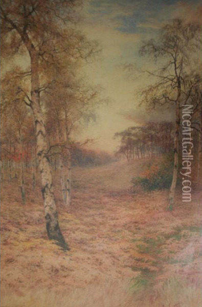 Autumn Woods Oil Painting - Paul Bertram