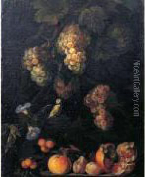 Nature Morte De Raisins, Grenades, Fraises Oil Painting - Michelangelo Cerqouzzi