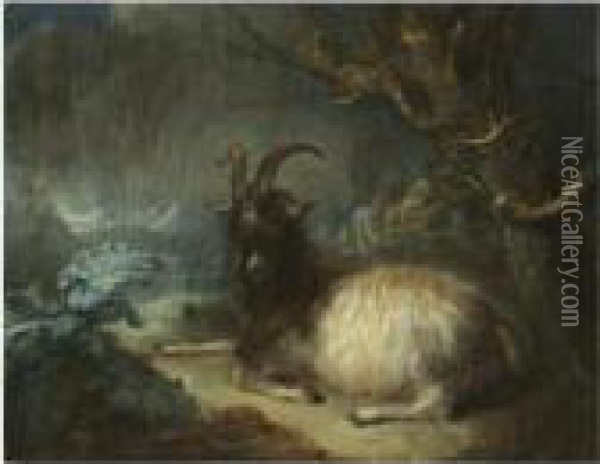 A Landscape With A Goat Oil Painting - Gerrit Dou