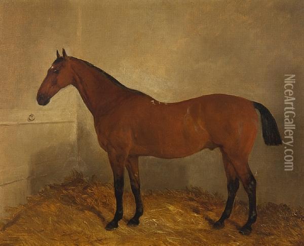 Bay Horse In A Stable Oil Painting - J. Duvall
