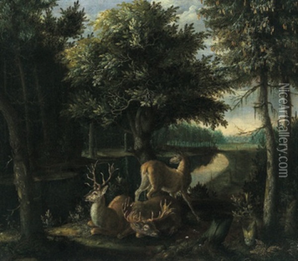 Zwei Hirsche Und Eine Hirschkuh In Einem Waldbach Oil Painting - Franz Roesel von Rosenhof