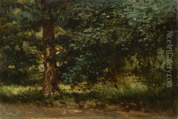 Forest Oil Painting - Pavel Aleksandrovich Bryullov