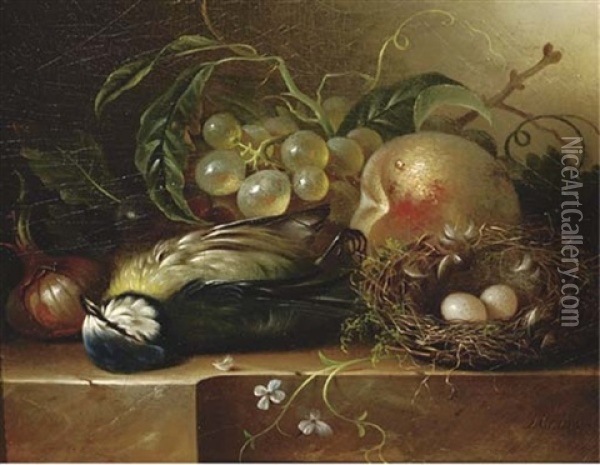 Fruit And A Bird's Nest On A Ledge Oil Painting - Hendrik Jan Hein