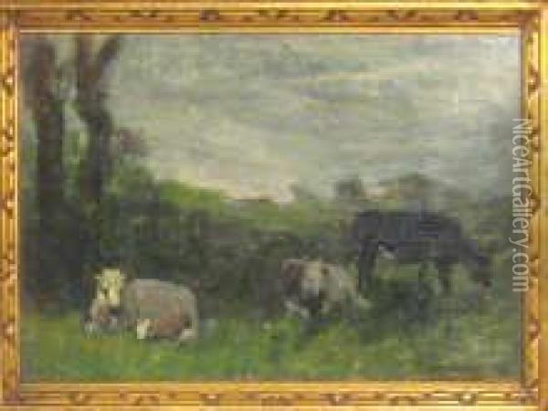 Rural Scene Oil Painting - Charles-Francois Daubigny