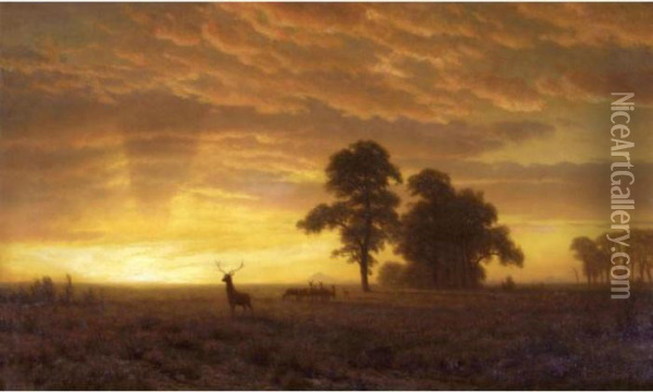 Wapiti Oil Painting - Albert Bierstadt