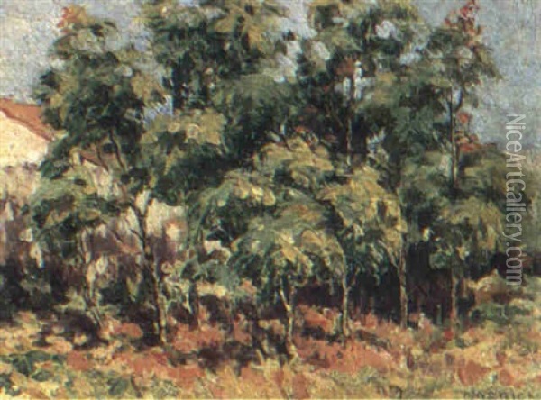 Castor Oil Trees, Brisbane Oil Painting - Ethel Carrick Fox