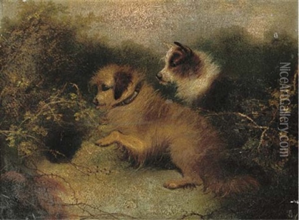 Eager Terriers Outside A Rabbit Hole (+ Excited Terriers On The Scent; Pair) Oil Painting - Edward Armfield