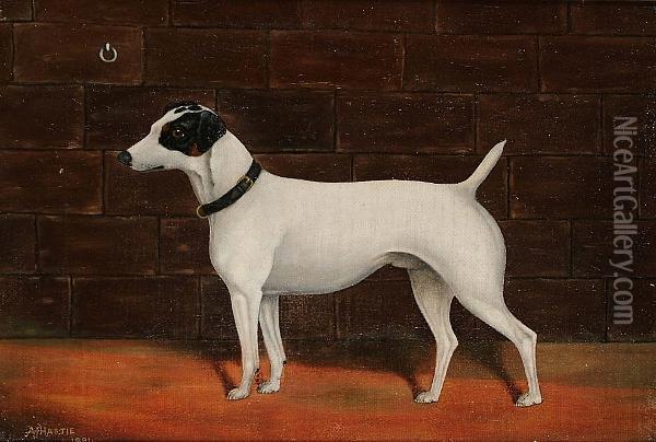 Portrait Of A Terrier Oil Painting - Grace H. Hastie