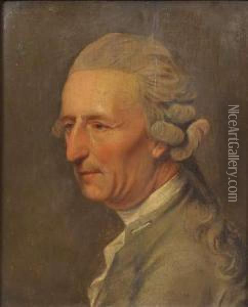 Portrait De Gentilhomme Oil Painting - Johann Heinrich Schmidt