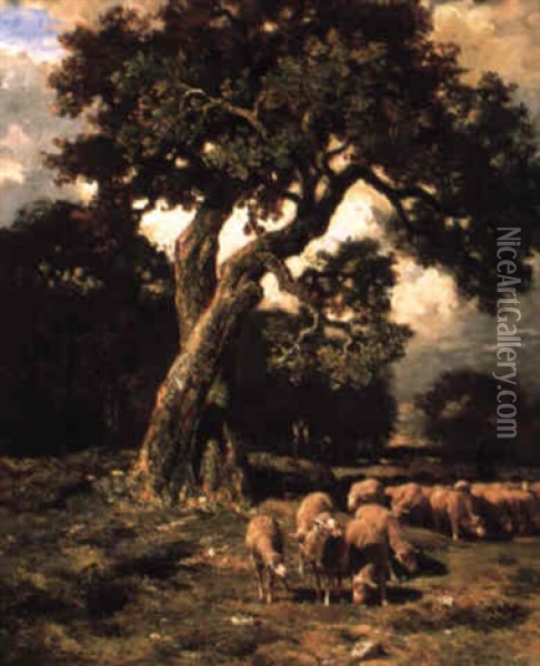 Sheep Grazing Beneath An Old Tree Oil Painting - Charles Emile Jacque