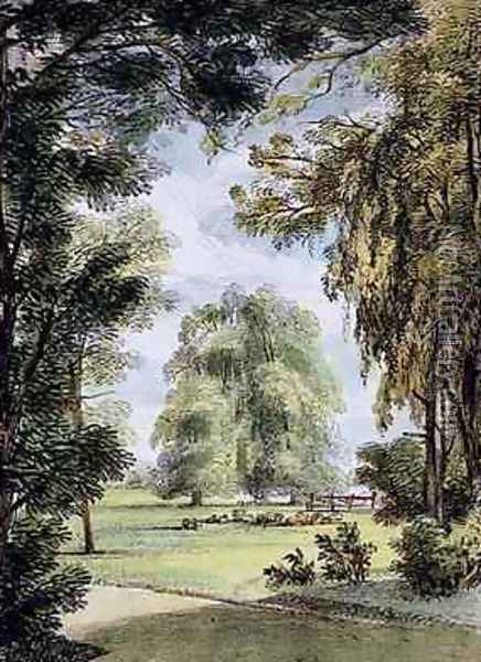 The Sister Trees, Kew Gardens, plate 8 from Kew Gardens A Series of Twenty-Four Drawings on Stone, engraved by Charles Hullmandel 1789-1850 published 1820 Oil Painting - Papendiek, George Ernest
