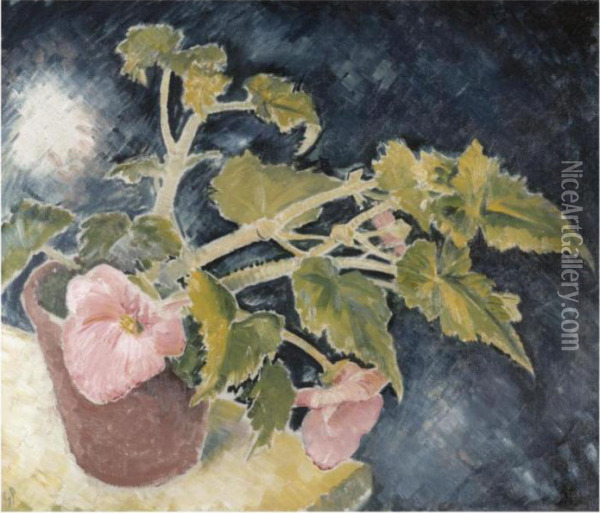 The Pink Begonia Oil Painting - Glyn Warren Philpot
