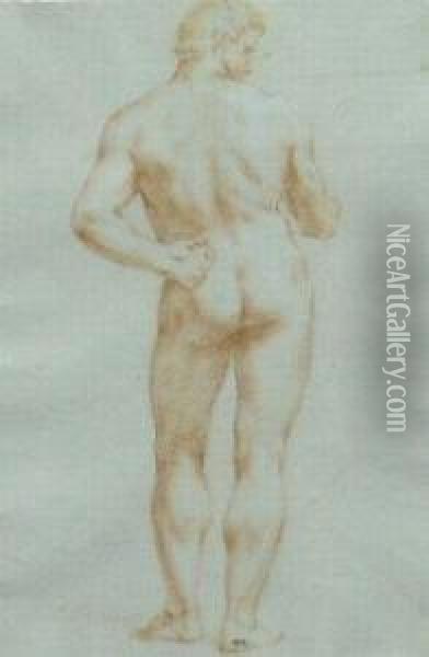 Male Nude From Behind Oil Painting - Giacomo Zoboli