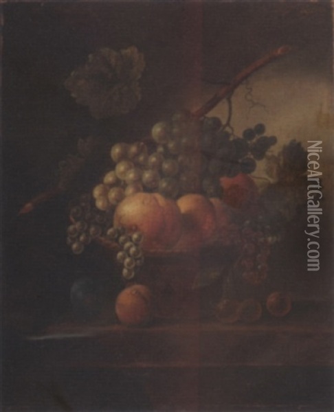A Still Life With Various Fruits Oil Painting - Johannes Cornelis de Bruyn