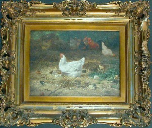 Hens And Chicks In The Farmyard Oil Painting - Eugene Remy Maes