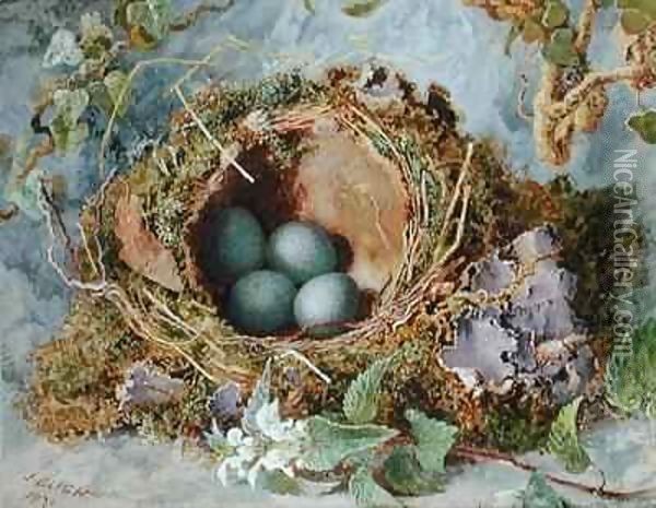 A Nest of Eggs Oil Painting - Jabez Bligh