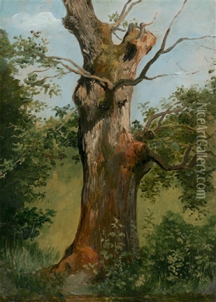Tree Study Oil Painting - Jules Coignet