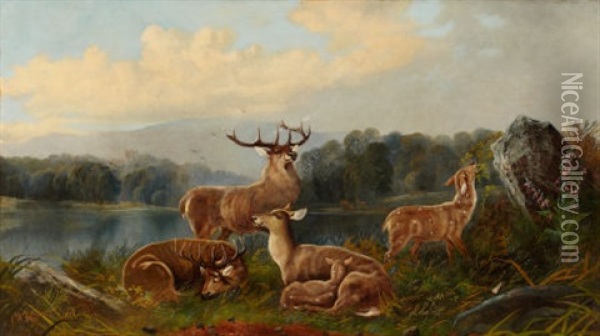 Deer In Landscape Oil Painting - John W. Morris