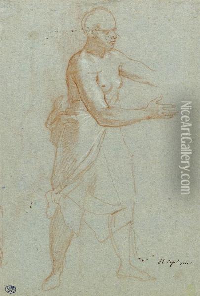 A Standing Female Figure Oil Painting - Bartolomeo Cesi