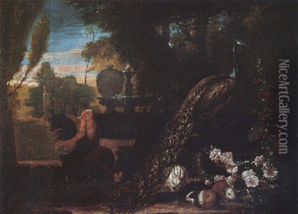 A Peacock, A Bantam Cockerel, Rabbits And Guinea Pigs In The Grounds Of A Villa Oil Painting - David de Coninck