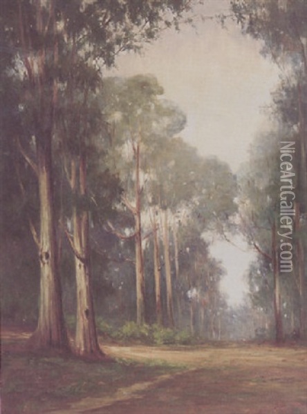 Eucalyptus In The Mist Oil Painting - Bertha Stringer Lee