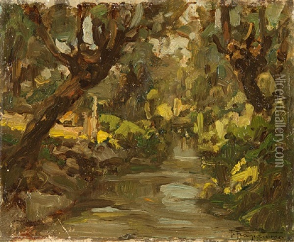 Scorcio Con Alberi E Ruscello Oil Painting - Pietro Fragiacomo