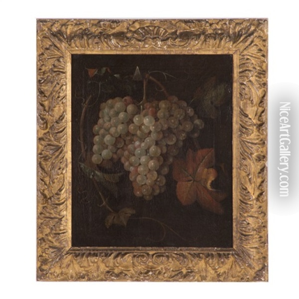 Grapes Oil Painting - Pieter Gerritsz van Roestraten