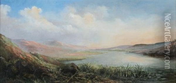 Lake Landscape In Summer Oil Painting - Joseph Hochrein-Kabosk